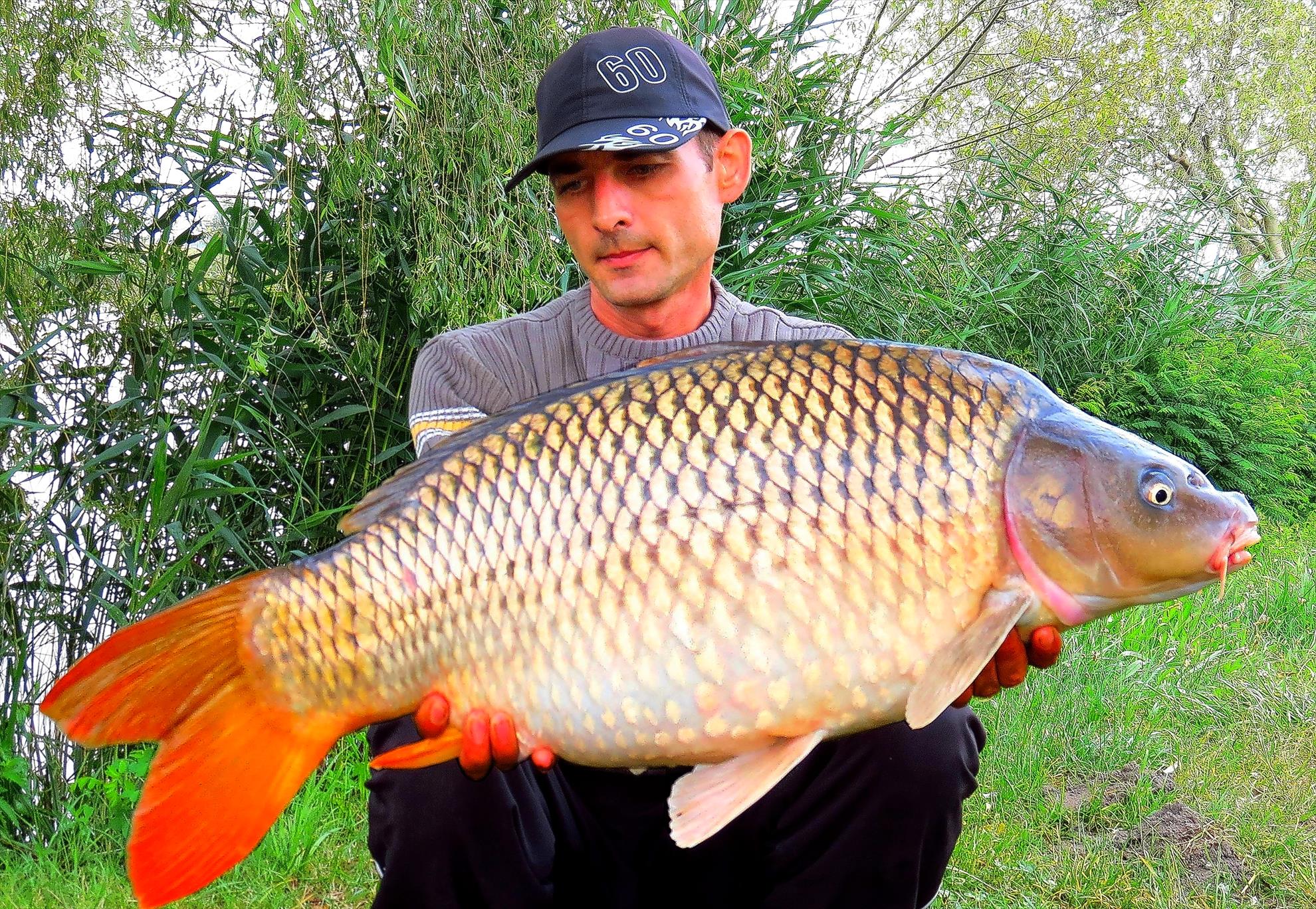 Palici - img5320-1055-f.jpg